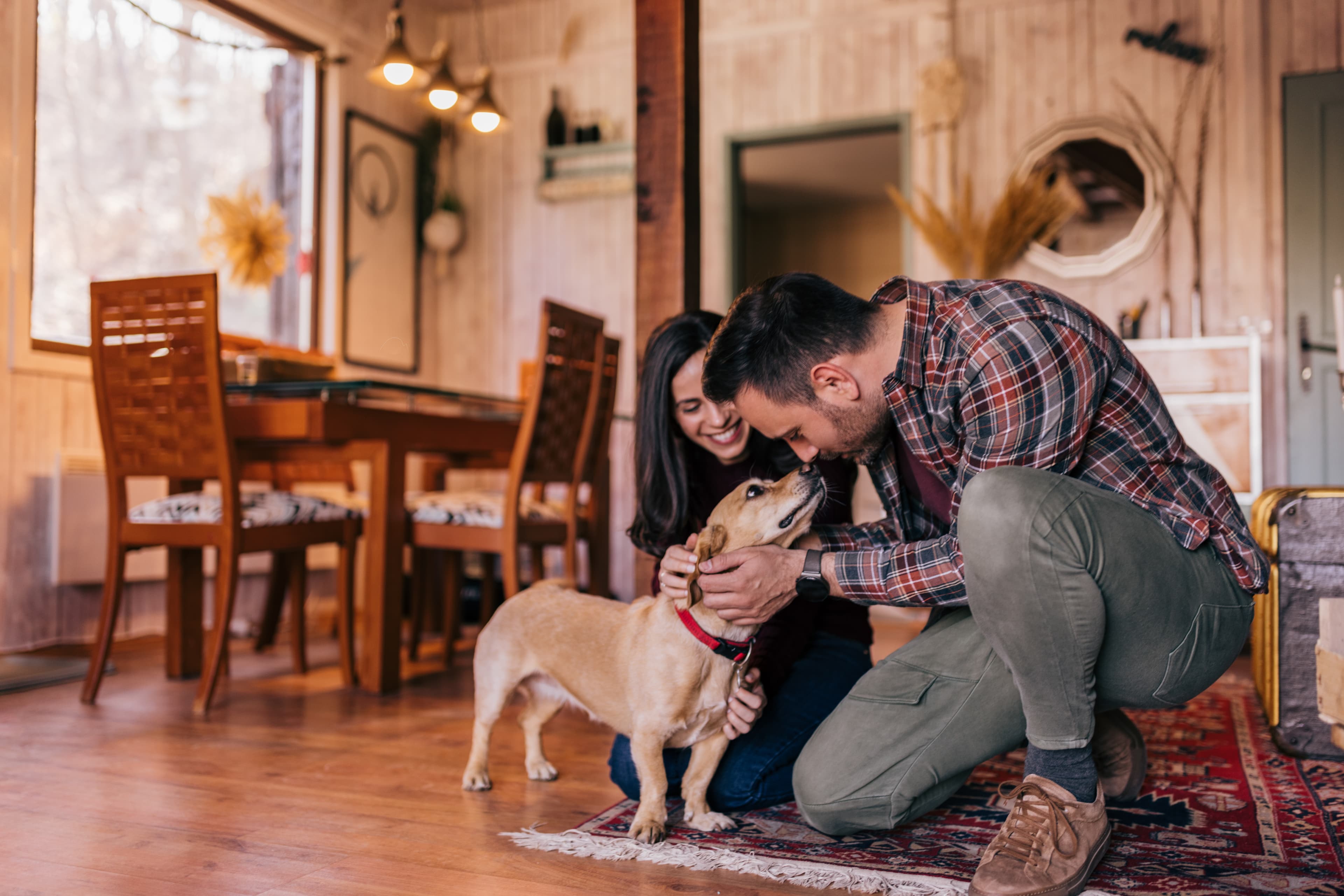 Couple bonding with dog in cozy living room