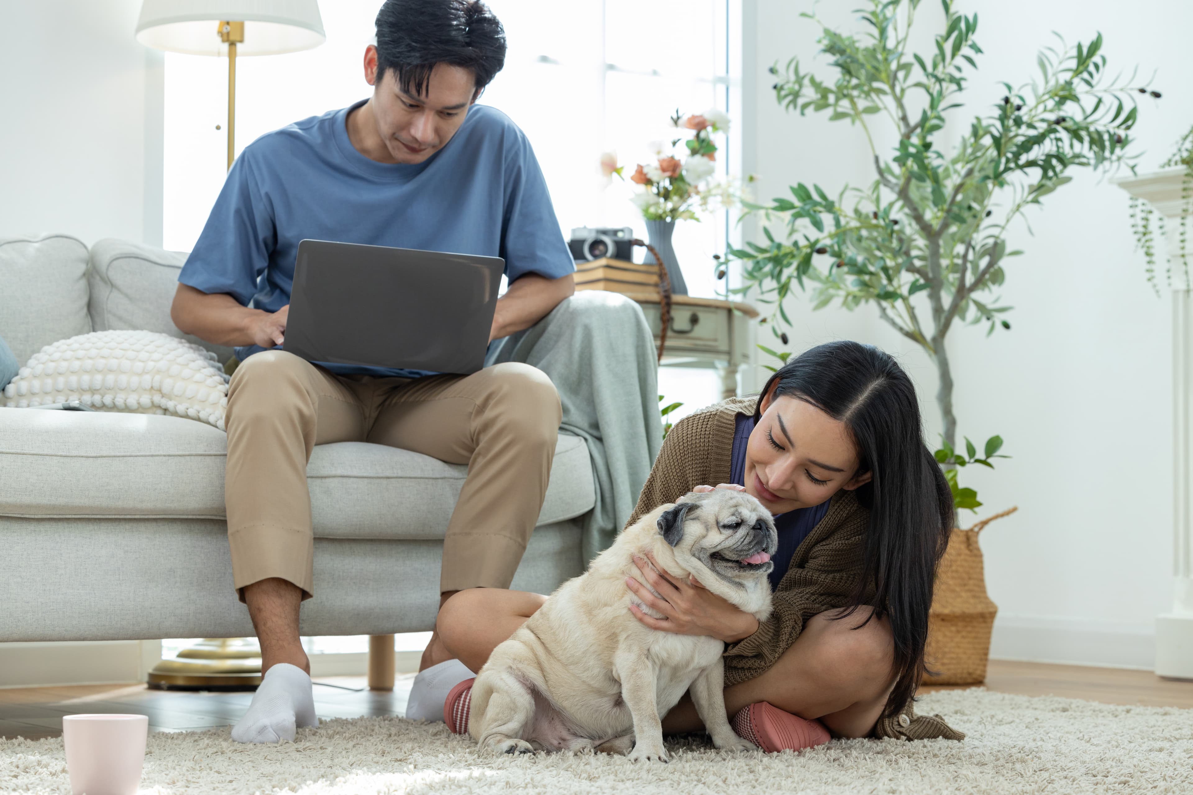 Couple bonding with pet dog while working