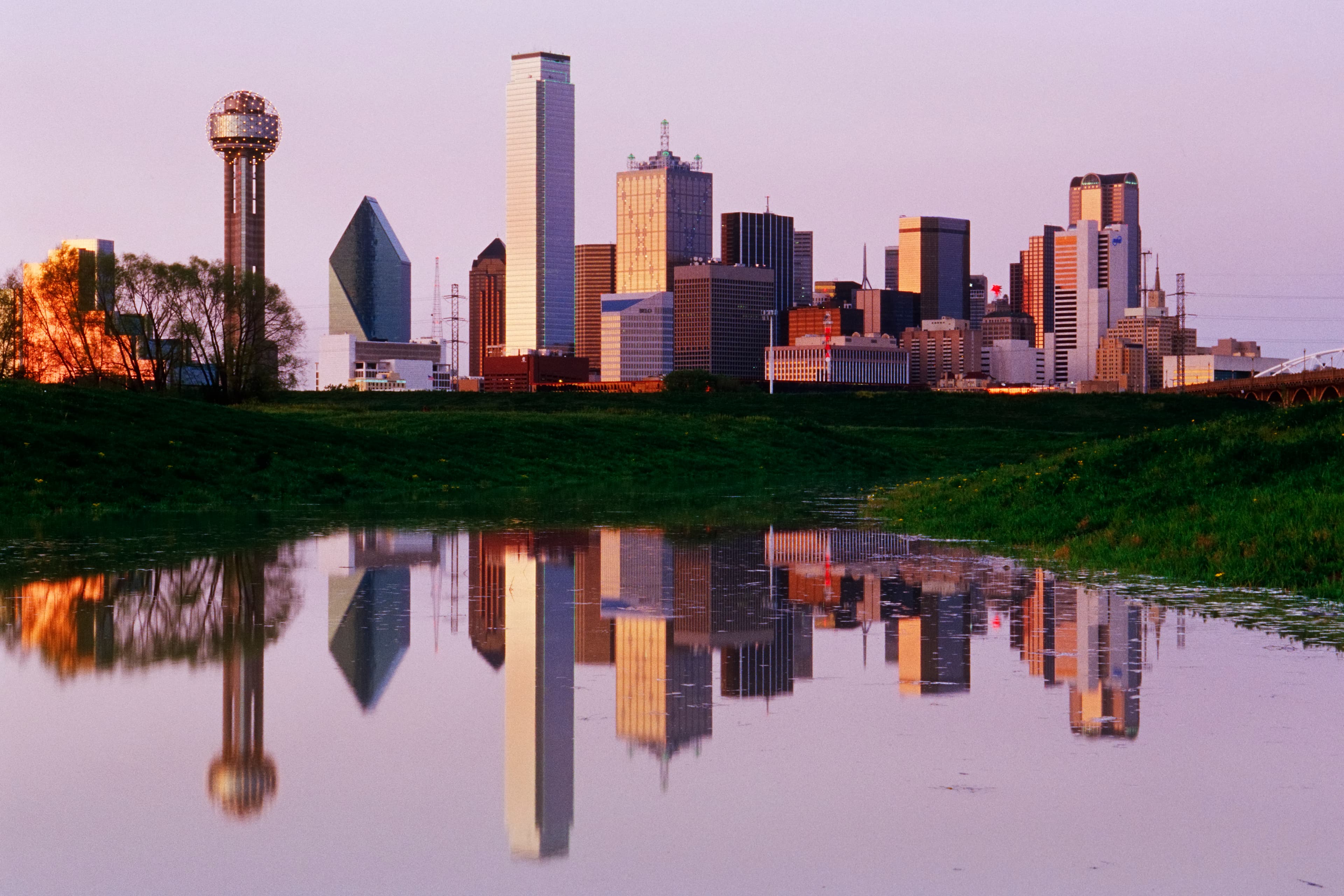 Dallas skyline reflected in pond at dusk