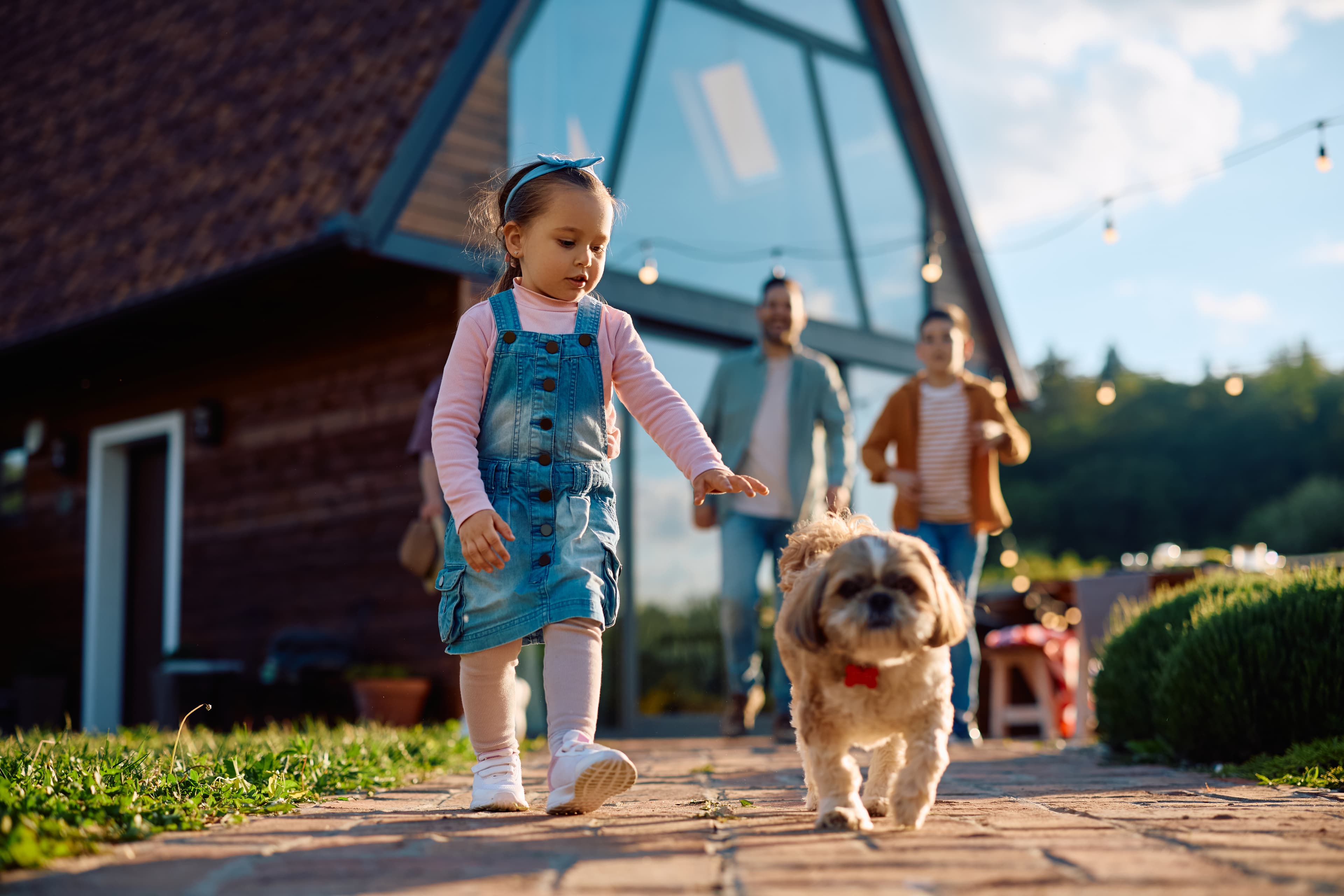 Little girl playing with dog in backyard